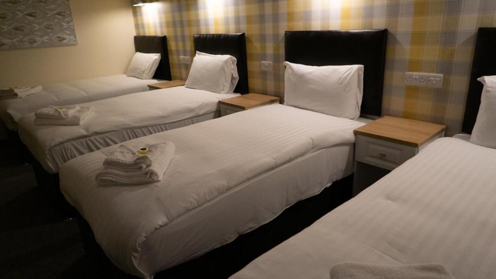 Hotel Greenland's